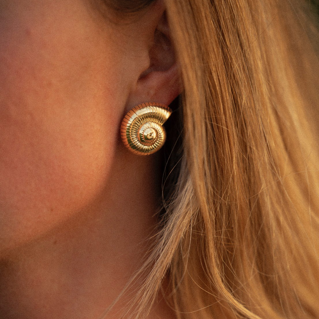 Bold Shell Earrings